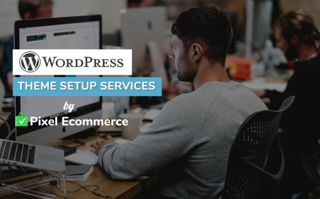 Wordpress Theme Setup Services